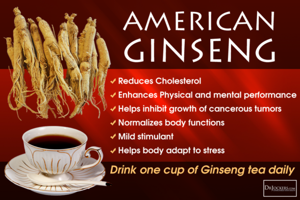 Better Ginseng